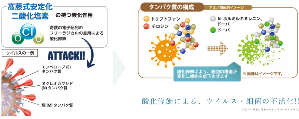 ウイルス・最近の不活性化