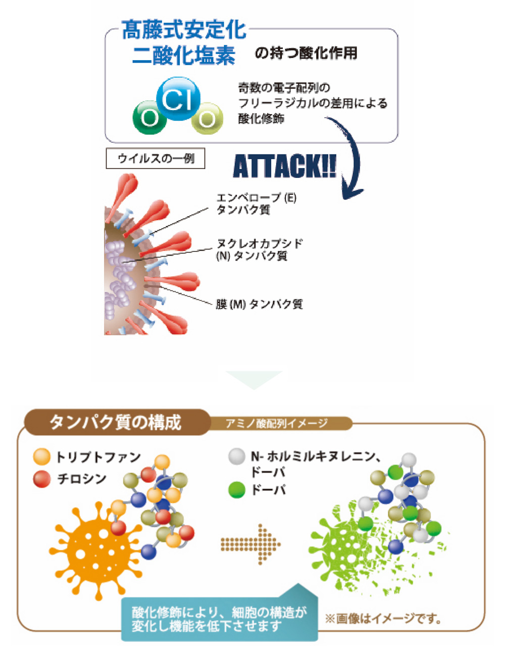 ウイルス・最近の不活性化